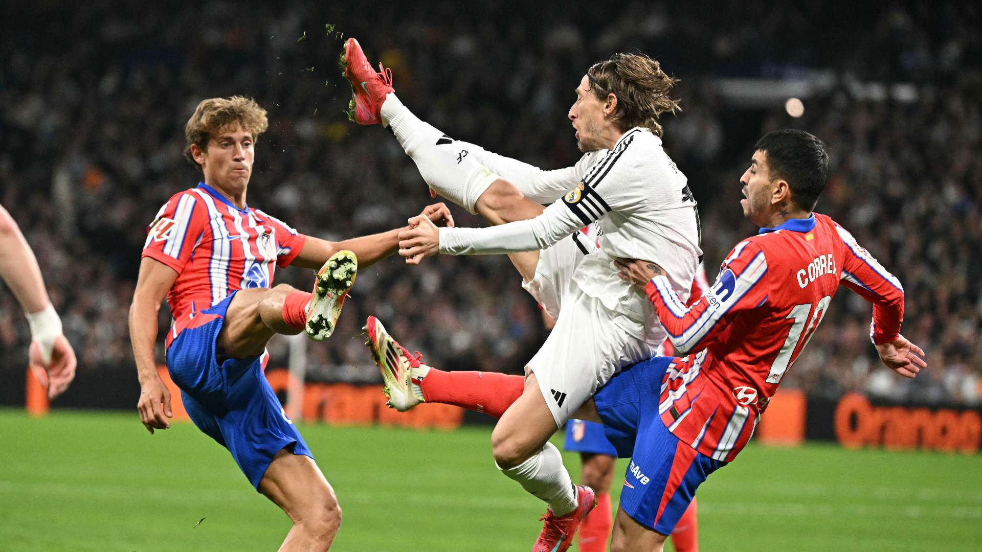 一个经济政 一个经济政