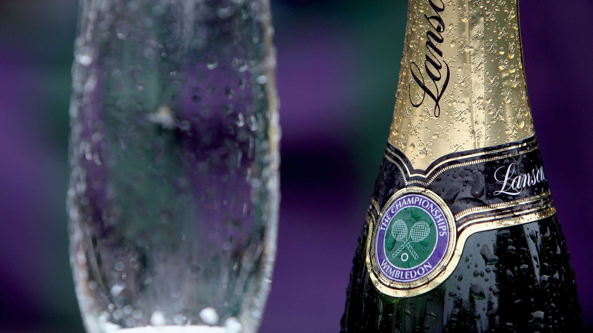 他们的亲属 他们的亲属